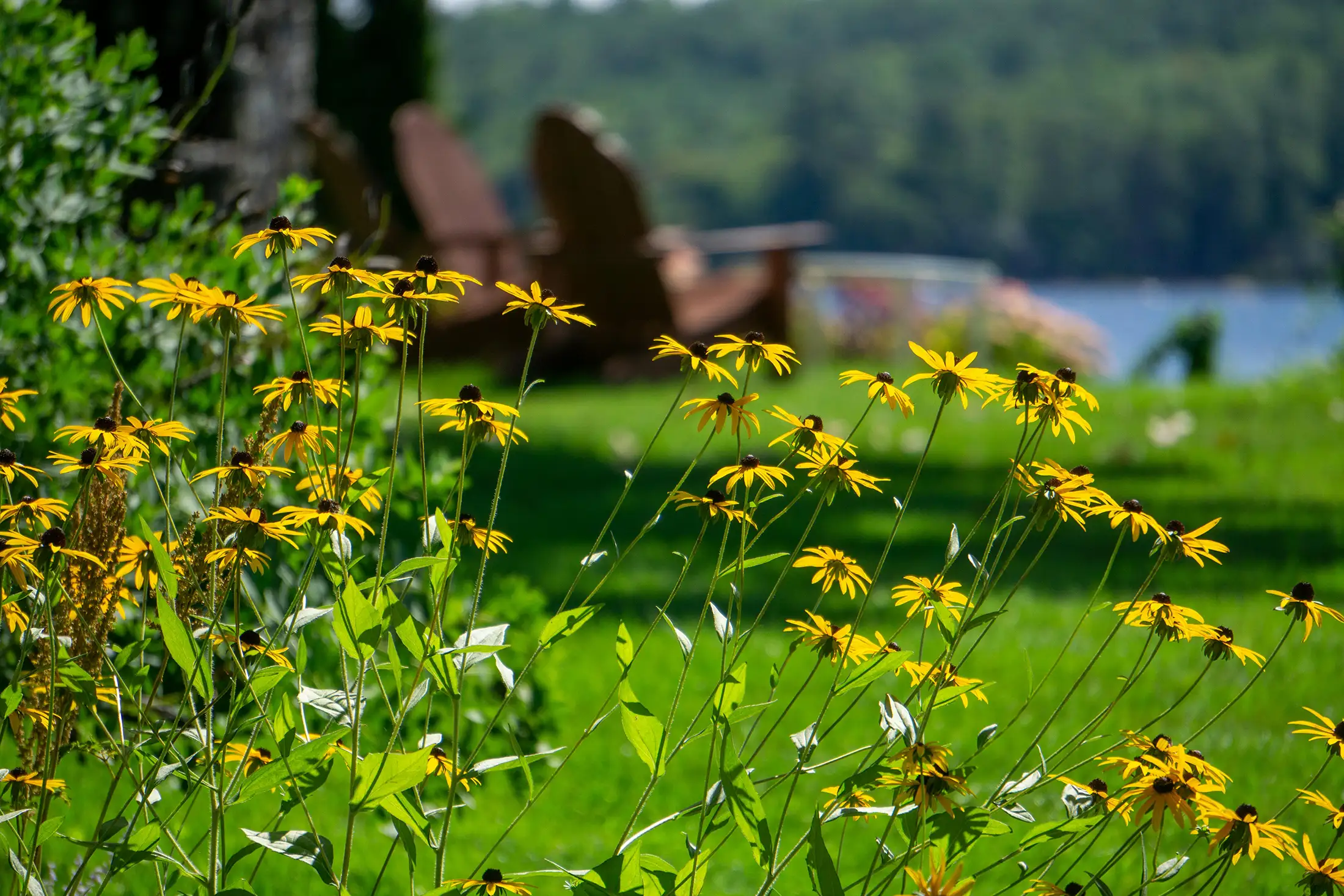 Explore Keswick cottage mortgage solutions Mortgages for cottages or vacation homes in Keswick Ontario